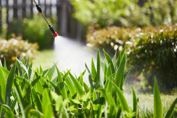 24/7 Emergency Ant Control experts in Bradford, OH