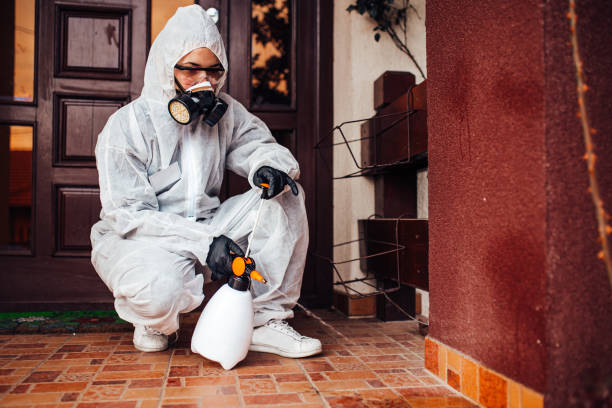 Reliable Ant Control contractor in Bradford, OH by Nex Pest Control