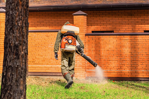 Trusted Rodent Control service in Bradford, OH - Nex Pest Control